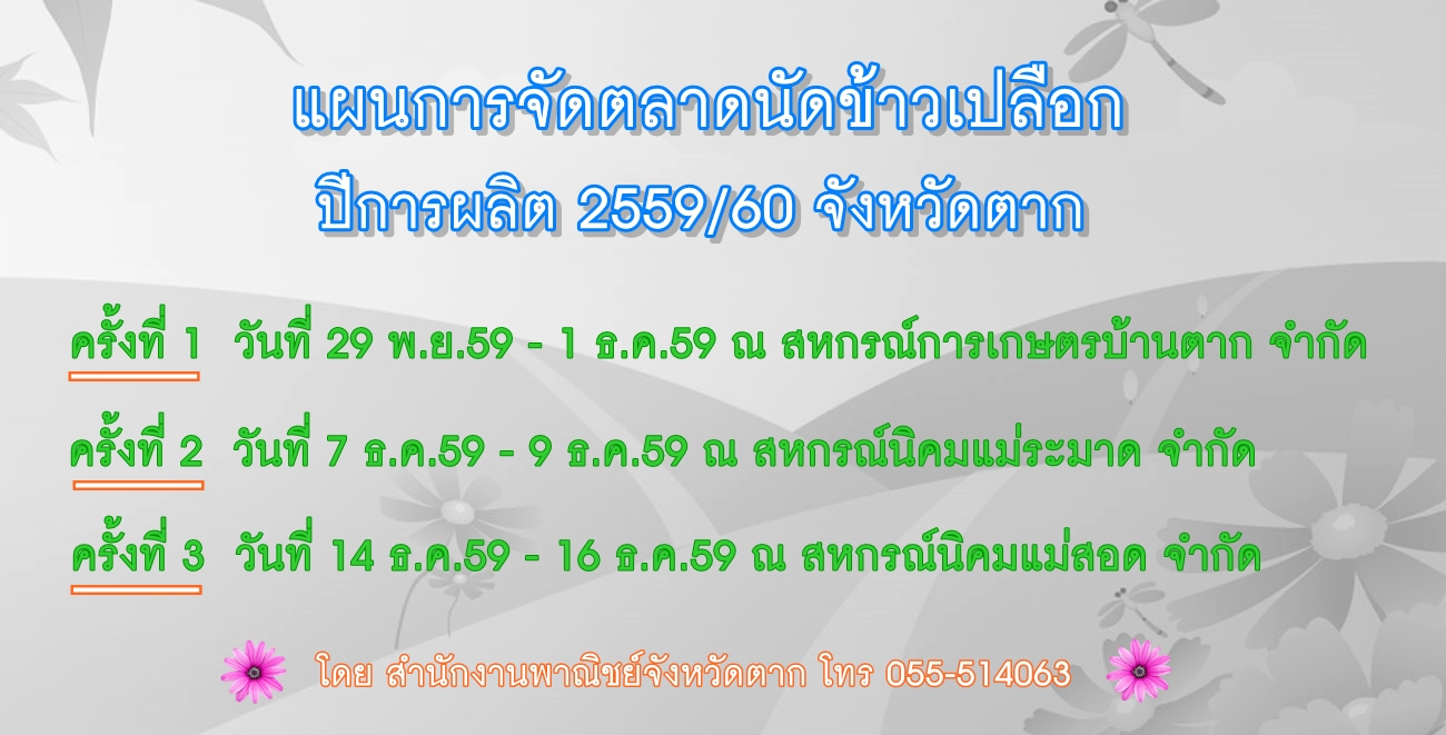 ประชาสัมพันธ์ แผนการจัดตลาดนัดข้าวเปลือก ปีการผลิต 2559/60 จังหวัดตาก