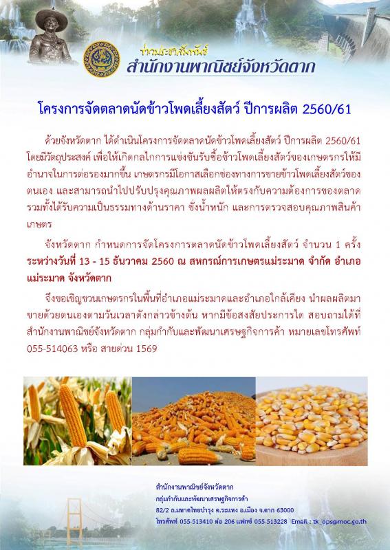 ประชาสัมพันธ์ โครงการจัดตลาดนัดข้าวโพดเลี้ยงสัตว์ ปีการผลิต 2560/61 