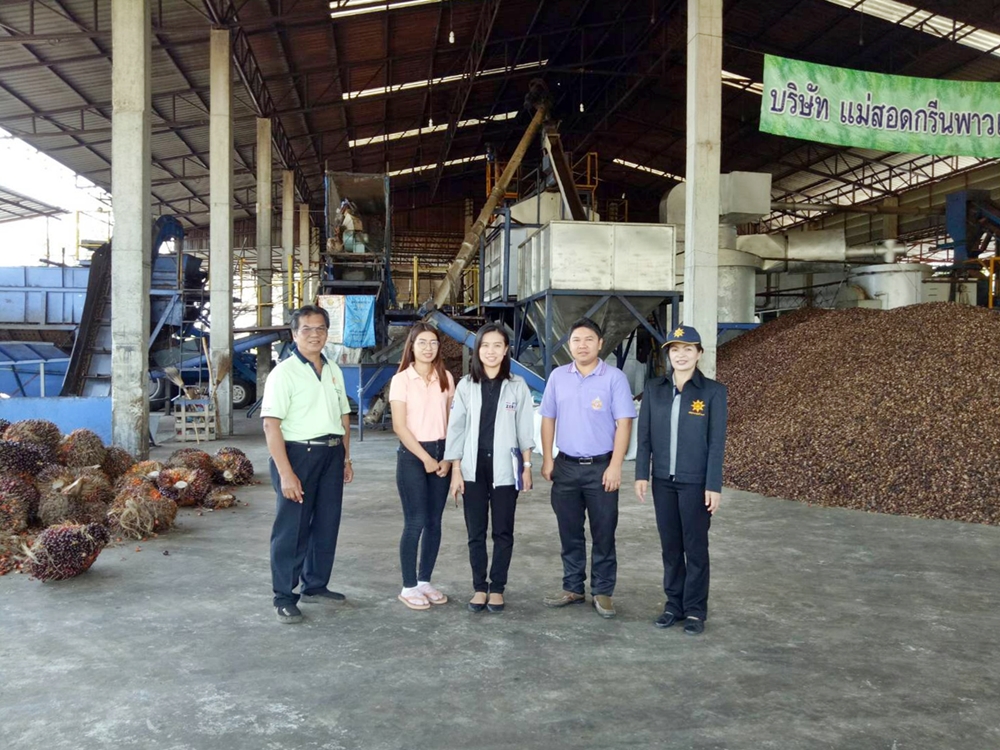 การตรวจสอบสต็อกน้ำมันปาล์มคงเหลือทั้งระบบ ประจำเดือนกุมภาพันธ์ 2561