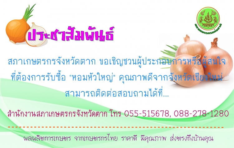 ประชาสัมพันธ์ เชิญชวนผู้ที่สนใจรับซื้อหอมหัวใหญ่จากจังหวัดเชียงใหม่