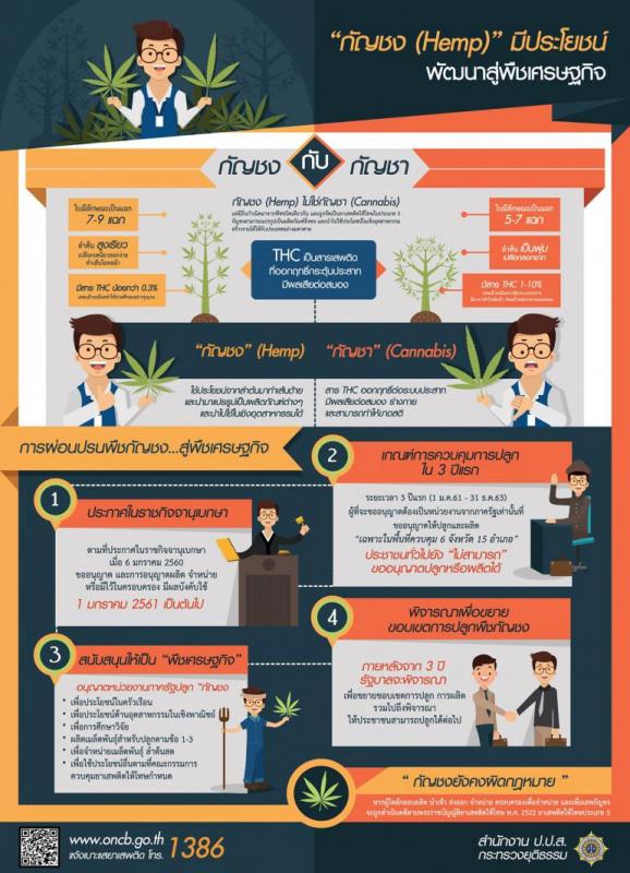 ประชาสัมพันธ์ : ประโยชน์ของกัญชง (Hemp) โดย สำนักงาน ป.ป.ส.กระทรวงยุติธรรม