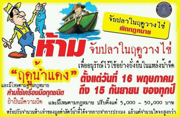 ประชาสัมพันธ์  รณรงค์ห้ามจับสัตว์น้ำจืดในช่วงวางไข่และเลี้ยงตัวอ่อน 