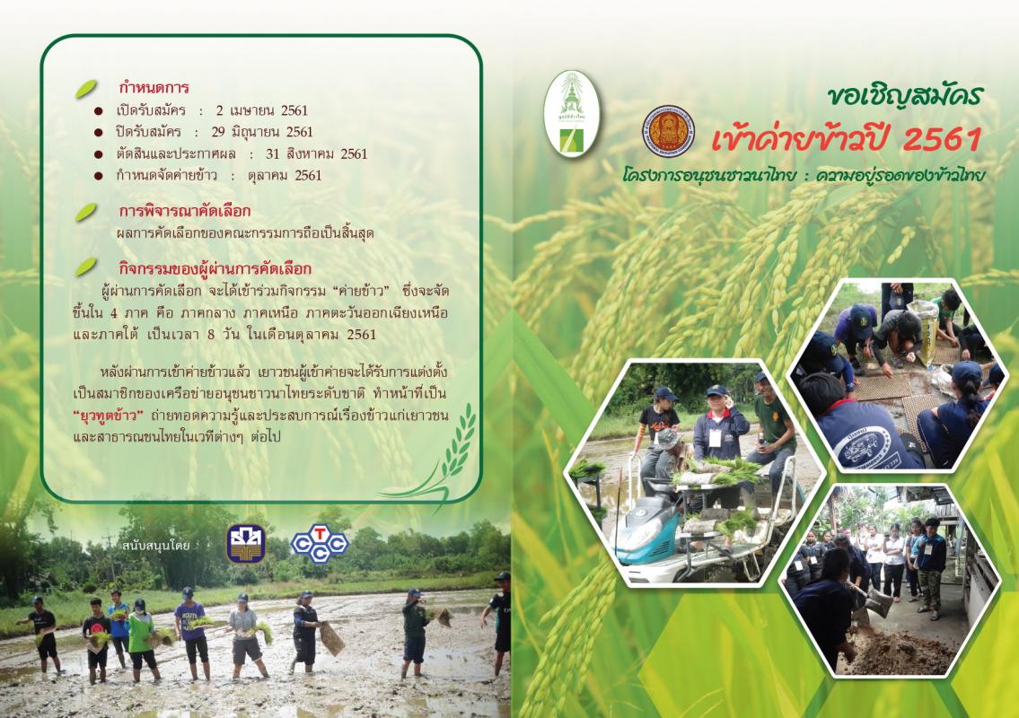 ขอเชิญเข้าร่วมโครงการอนุชนชาวนาไทย : ความอยู่รอดของข้าวไทย เข้าค่ายข้าวปี 2561 