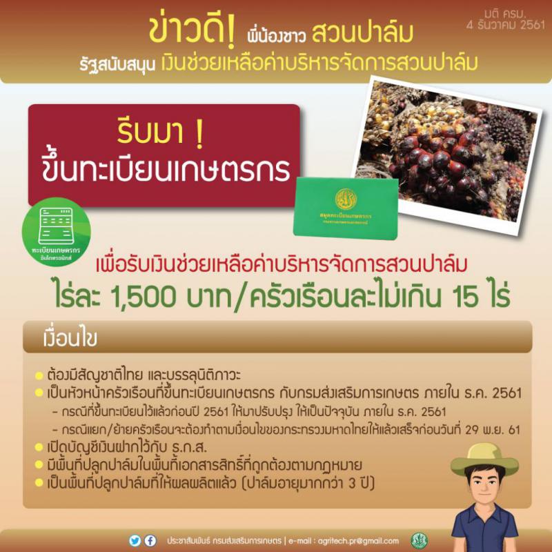 ประชาสัมพันธ์ : รัฐสนับสนุนเงินช่วยเหลือค่าบริหารจัดการสวนปาล์ม