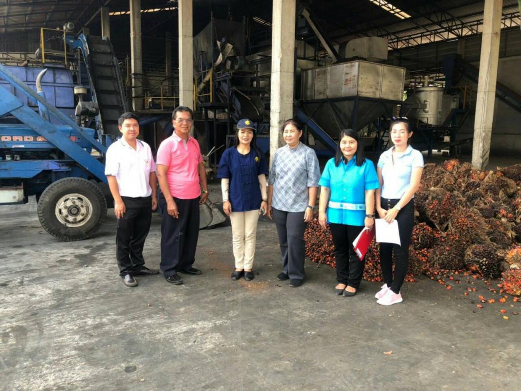 การตรวจสอบสต๊อกน้ำมันปาล์มคงเหลือทั้งระบบ เดือนมีนาคม 2562