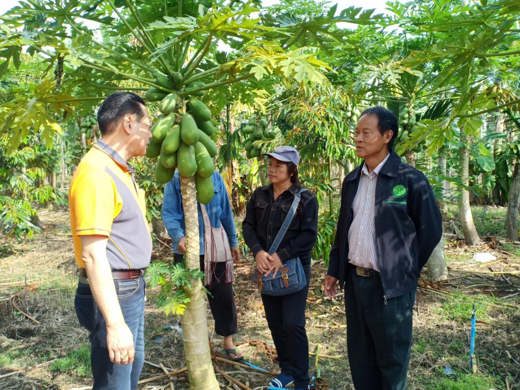 สหกรณ์จังหวัดตากร่วมกับสภาเกษตรกรจังหวัดตากหารือแนวทางขยายผลการปรับเปลี่ยนการปลูกพืชให้สอดคล้องกับบริบทพื้นที่