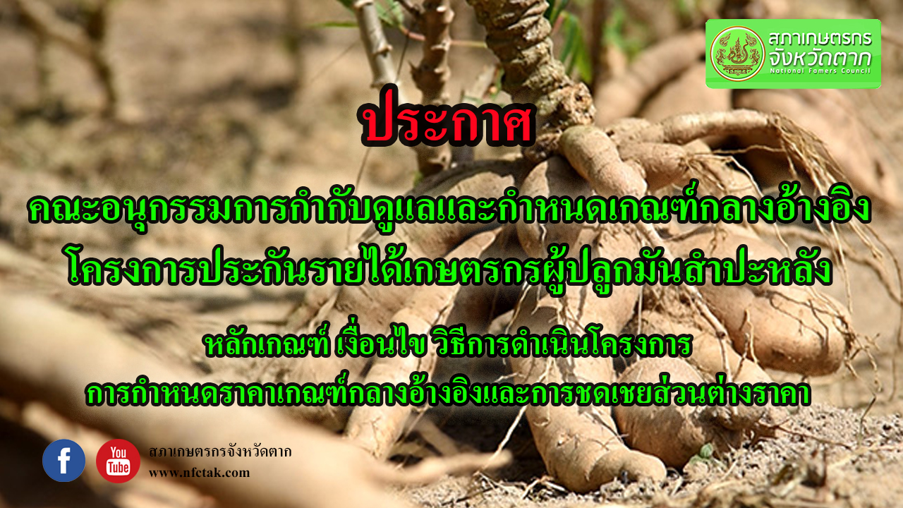 ประกาศคณะอนุกรรมการกำกับดูแลและกำหนดเกณฑ์กลางอ้างอิงโครงการประกันรายได้เกษตรกรผู้ปลูกมันสำปะหลัง (ปี 2562/63)