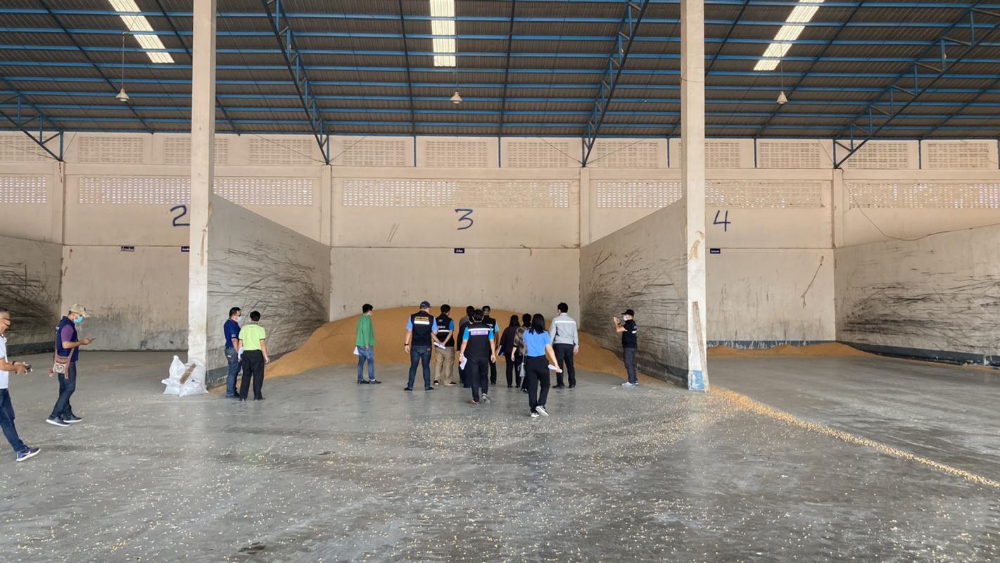 การตรวจสต็อกข้าวโพดเลี้ยงสัตว์ ครั้งที่ 1 ประจำเดือนพฤศจิกายน 2563