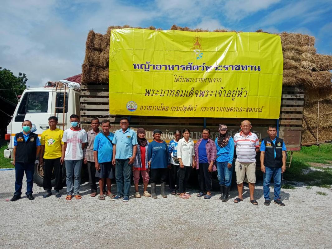 การรับมอบเสบียงอาหารสัตว์หญ้าอาหารสัตว์ได้รับพระราชทานจากพระบาทสมเด็จพระเจ้าอยู่หัว