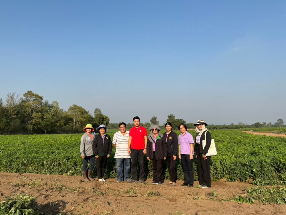 ลงพื้นที่ติดตามสถานการณ์การปลูกพืชตระกูลถั่ว ถั่วลิสงพันธุ์กาฬสินธุ์ 2 (ถั่วลายเสือ) อ.สามเงา จ.ตาก