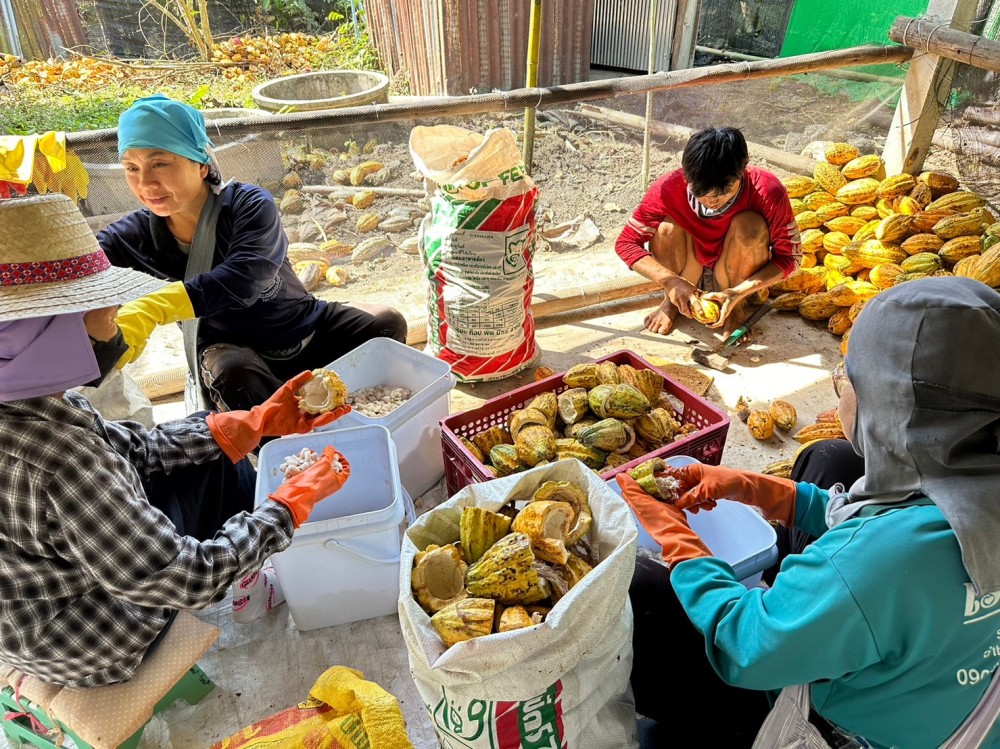 ลงพื้นที่ศึกษากระบวนการผลิต ผลิตภัณฑ์จากโกโก้ 
